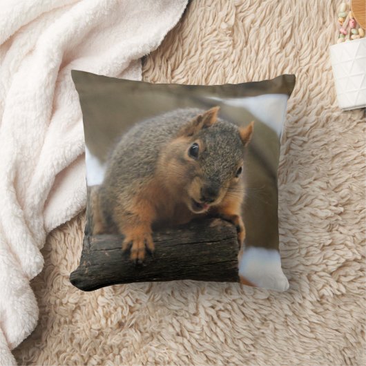 ペフト クッション (ブランケット)