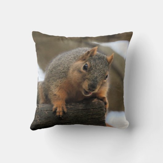 ペフト クッション (裏面)