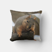 ペフト クッション (正面)