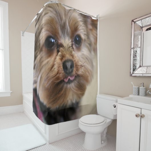 ペフト！ シャワーカーテン (インサイチュ)