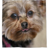 ペフト！ シャワーカーテン (正面)