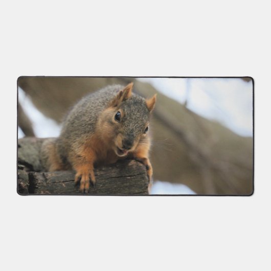 ペフト デスクマット (正面)