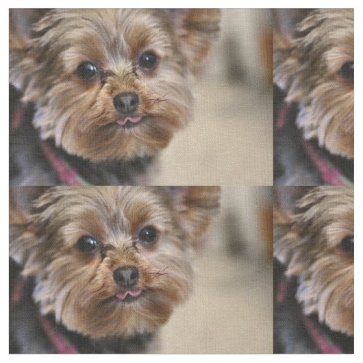 ペフト！ ファブリック (クローズアップ)