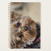 ペフト！ プランナー手帳 (正面)