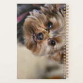 ペフト！ プランナー手帳 (裏面)