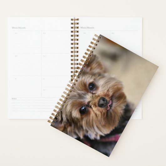 ペフト！ プランナー手帳 (ディスプレー)