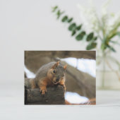 ペフト ポストカード (スタンド正面)