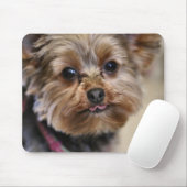 ペフト! マウスパッド (マウス)