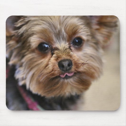 ペフト! マウスパッド (正面)