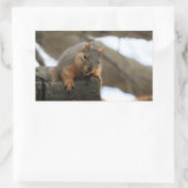 ペフト 長方形シール (バッグ)