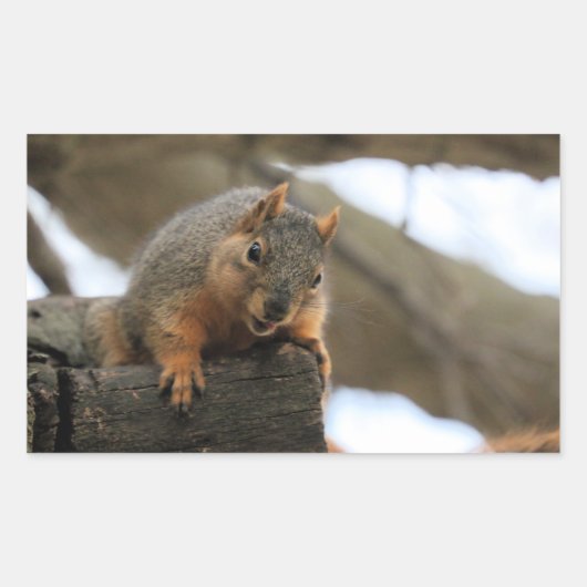 ペフト 長方形シール (正面)