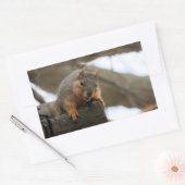 ペフト 長方形シール (封筒)