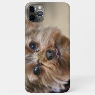 ペフト iPhone 11 PRO MAXケース