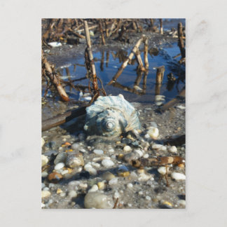 ペブルビーチ2 ポストカード