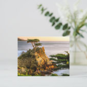 ペブルビーチ(カリフォルニア) ポストカード (スタンド正面)