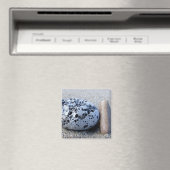 ペブル磁石 マグネット (インサイチュ (食洗機))