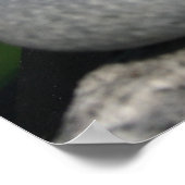 ペブル ポスター (角)