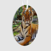 ペプシ –  オーナメント (正面)