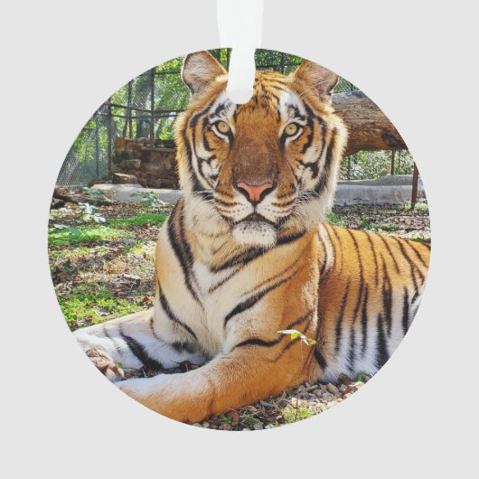 ペプシ –  オーナメント (裏面)