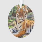 ペプシ –  オーナメント (正面)