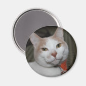 ペボディさん！ マグネット (正面/裏面)