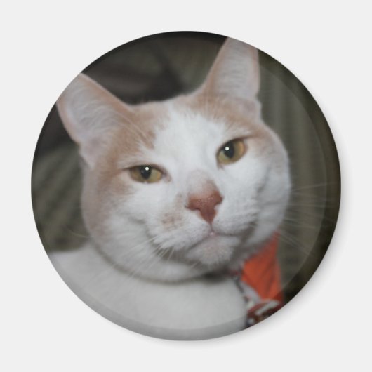 ペボディさん！ マグネット (正面)