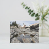 ペマキッドの反射 ポストカード (スタンド正面)