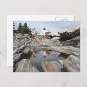 ペマキッドの反射 ポストカード (正面/裏面)