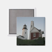 ペマキッドポイントライトメイン マグネット (正面/裏面)