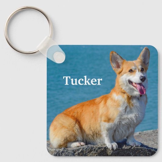 ペムク赤と白レウェルシュコーギー子犬 キーホルダー (正面)