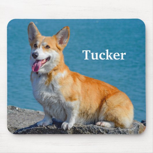 ペムク赤と白レウェルシュコーギー子犬 マウスパッド (正面)