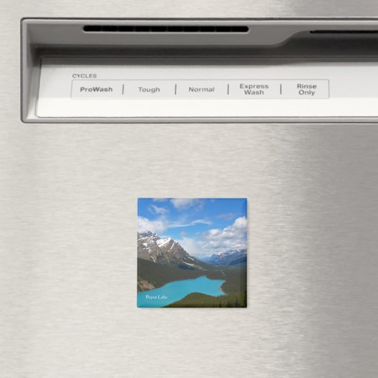 ペヤトレイクマグネット マグネット (インサイチュ (食洗機))