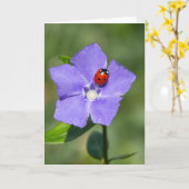 ペリウィンクルの挨拶状に美しいおしゃべり カード (黄色い花)