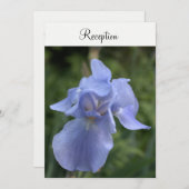 ペリウィンクル アイリス フローラル ウェディング レセプション 招待状 (正面/裏面)