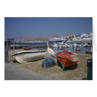 ペリカンおよびボート