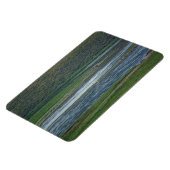 ペリカンがゲーゼに参加 マグネット (左側)