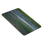 ペリカンがゲーゼに参加 マグネット (右側)