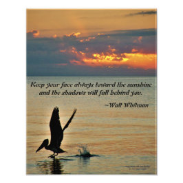 ペリカンが夕日に離陸する湾岸海岸フロリダ フォトプリント           