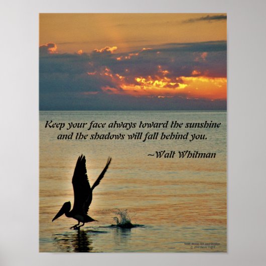 ペリカンが夕日に離陸する湾岸海岸フロリダ ポスター (正面)