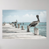 ペリカンが桟橋に ポスター (正面)