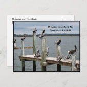 ペリカンが波止場 シーズンポストカード (正面/裏面)