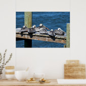 ペリカンが波止場 ポスター (キッチン)