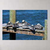 ペリカンが波止場 ポスター (正面)