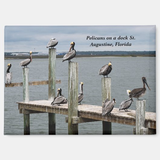 ペリカンが波止場 マグネット (正面)