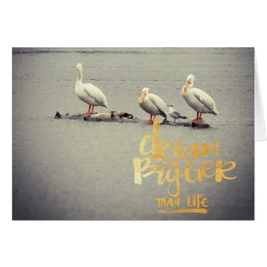 ペリカンとカモメの夢の大インスパイアきい (正面横)