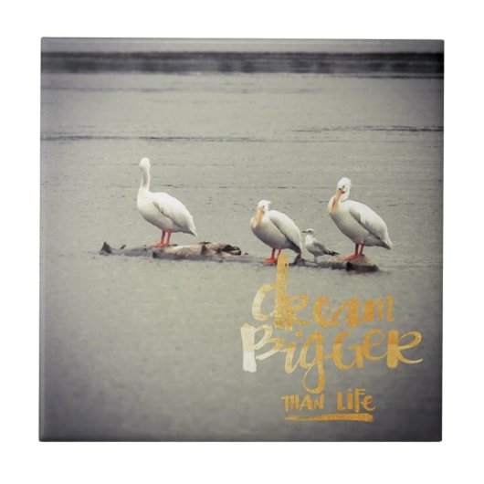 ペリカンとカモメの夢を大きく タイル (正面)