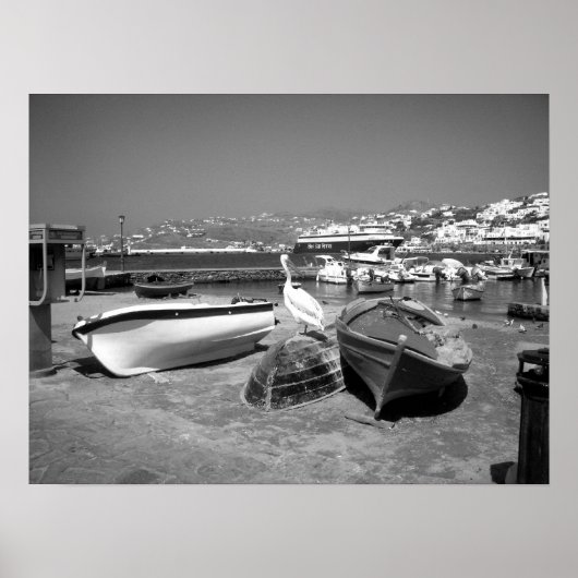 ペリカンとボート（白黒） ポスター (正面)