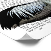 ペリカンと蝶 ポスター (角)