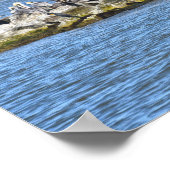 ペリカンと鵜とドーフィン島橋 ポスター (角)