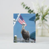 ペリカンのはがき ポストカード (スタンド正面)